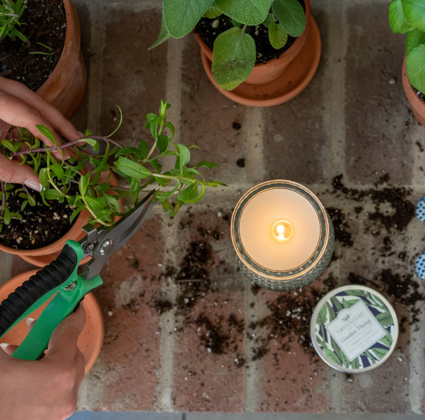 Petite Candle Garden Thyme