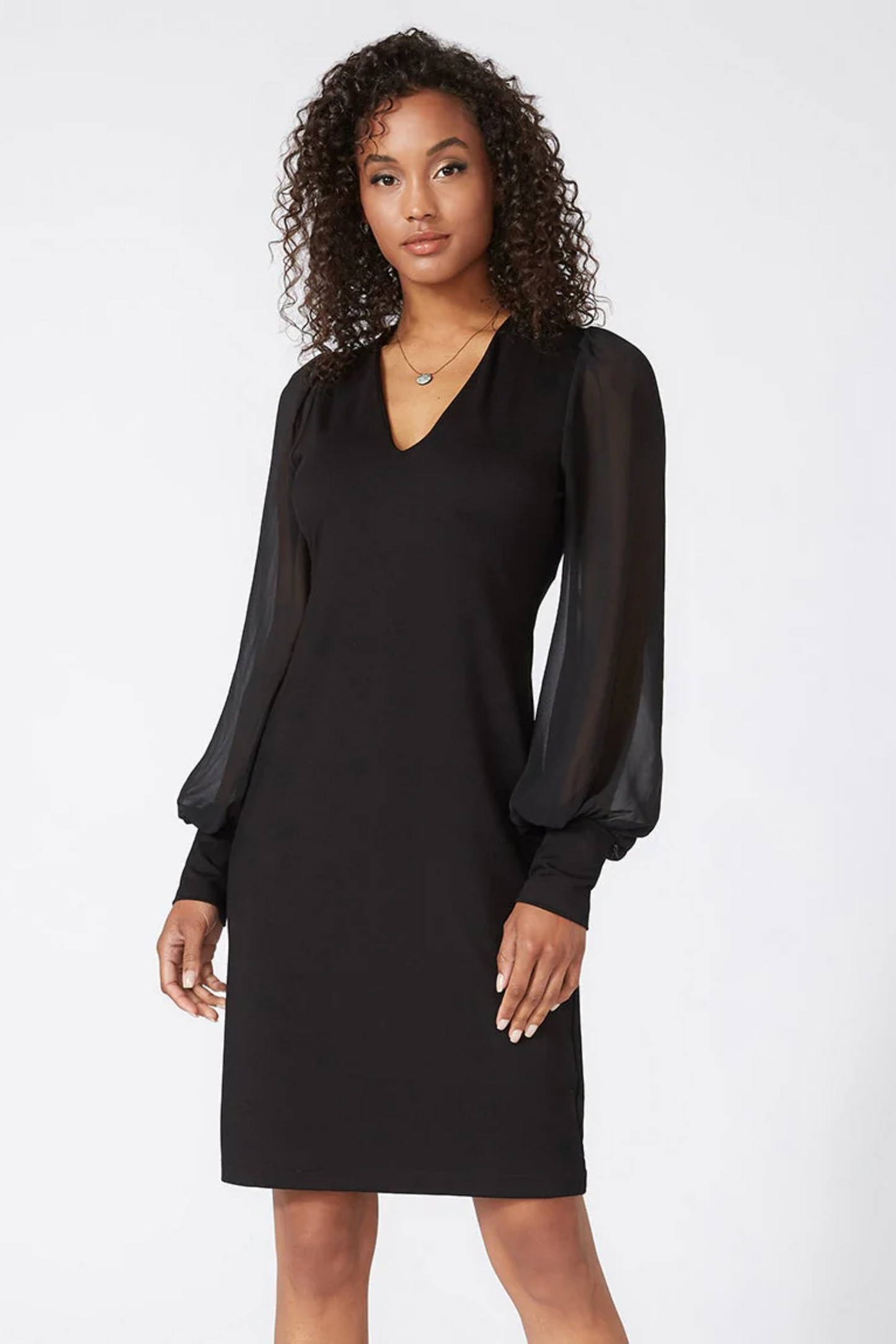 Sheer Sleeve Dress Black
