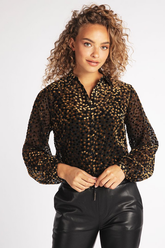 Basic Velvet Dots Blouse Gold